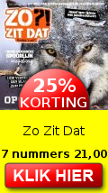 Zo Zit Dat